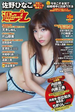 九家之书17